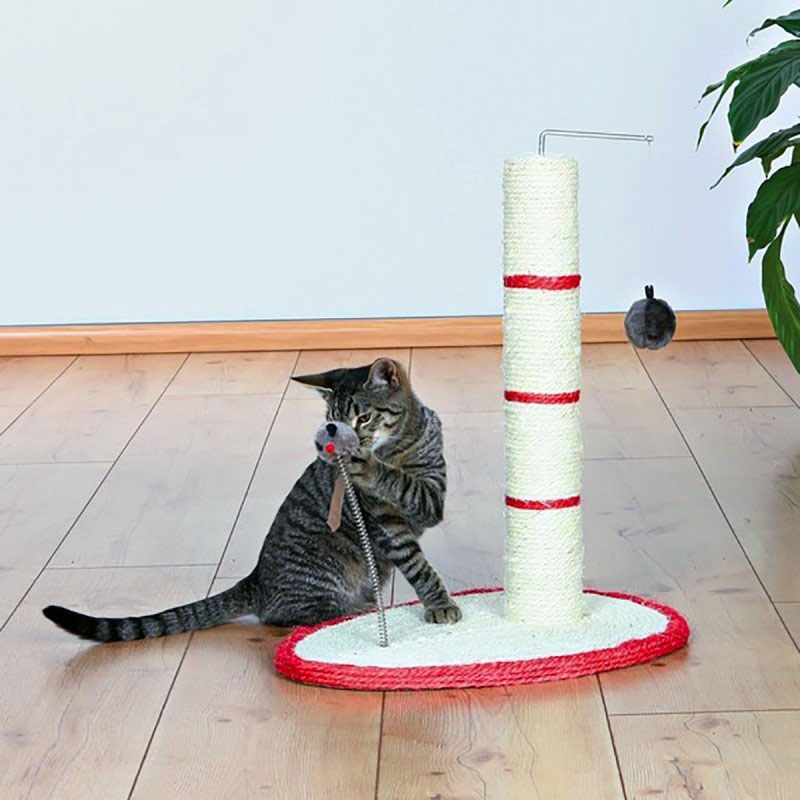 Image - DIY scratching posts repair