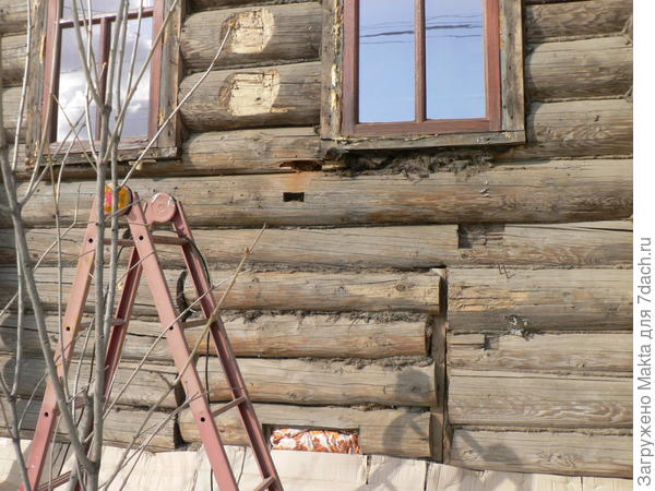 Image - DIY hut repair