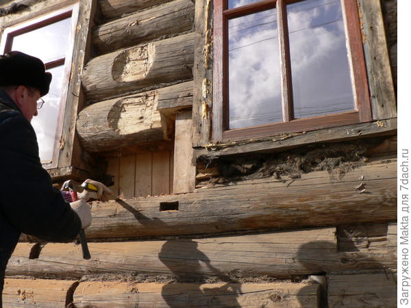 Image - DIY hut repair