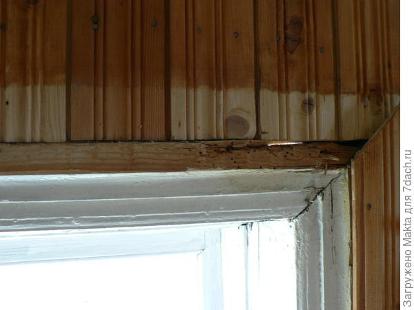 Image - DIY hut repair