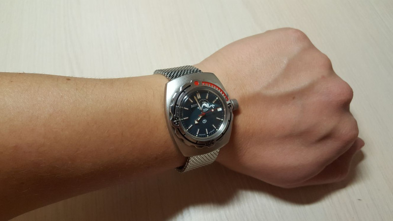 Image - Do-it-yourself Vostok amphibian watch repair