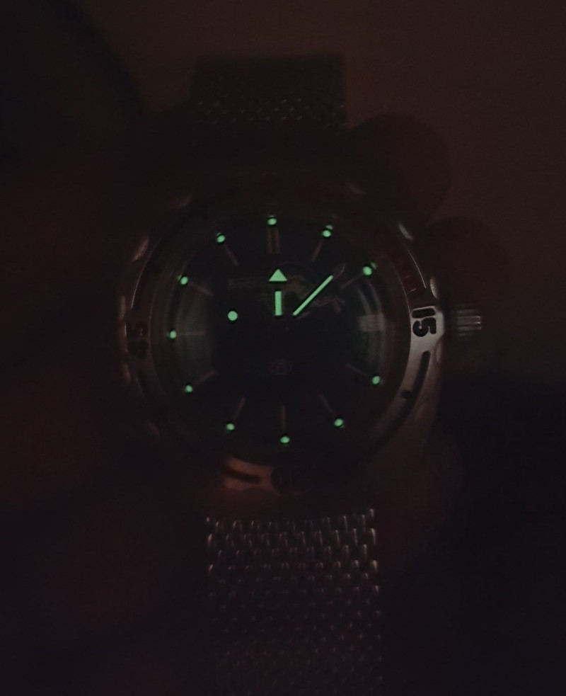 Image - Do-it-yourself Vostok amphibian watch repair