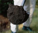 Image - DIY lawn repair