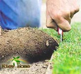 Image - DIY lawn repair