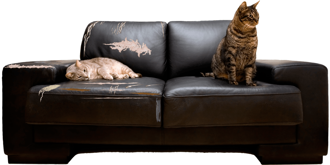 Image - Do-it-yourself upholstery and repair of furniture