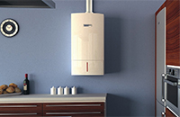 Image - DIY Ferroli Diva 24 boiler repair
