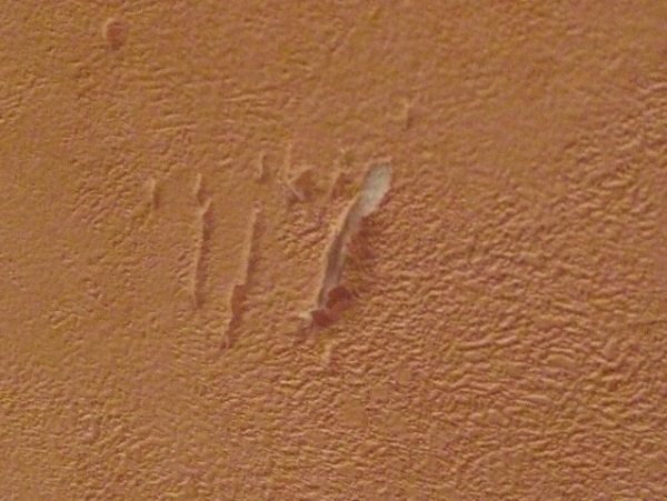 Image - Partial DIY wallpaper repair