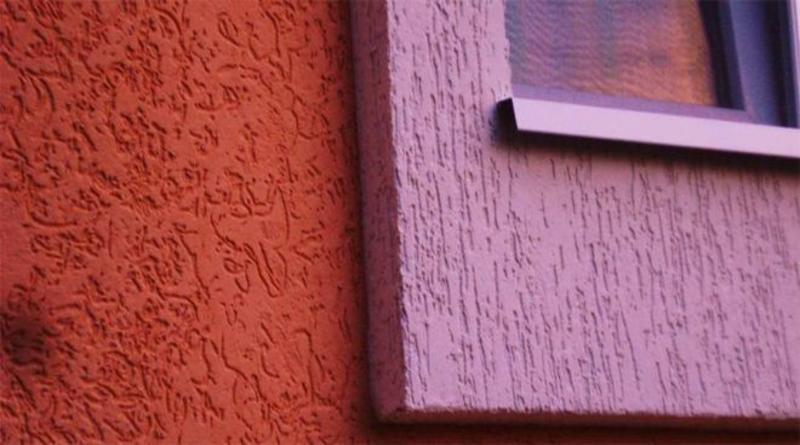 Image - DIY repair bark beetle