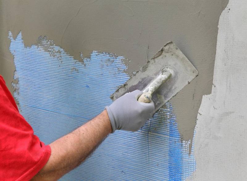 Image - DIY repair bark beetle