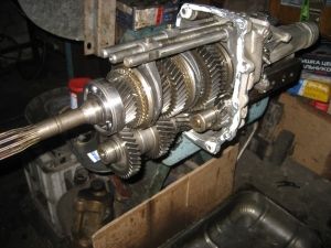 Image - DIY gazelle box repair