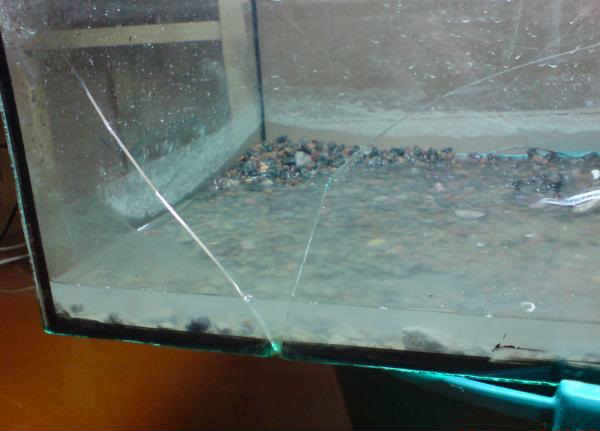 Image - DIY aquarium repair