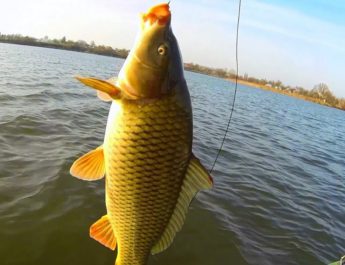 Image - Do-it-yourself fishing rod repair