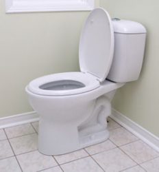 Image - DIY toilet cracking repair