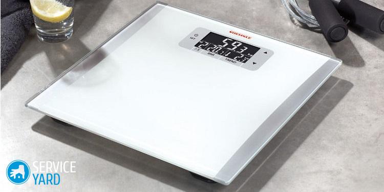 Image - DIY repair of vitek scales