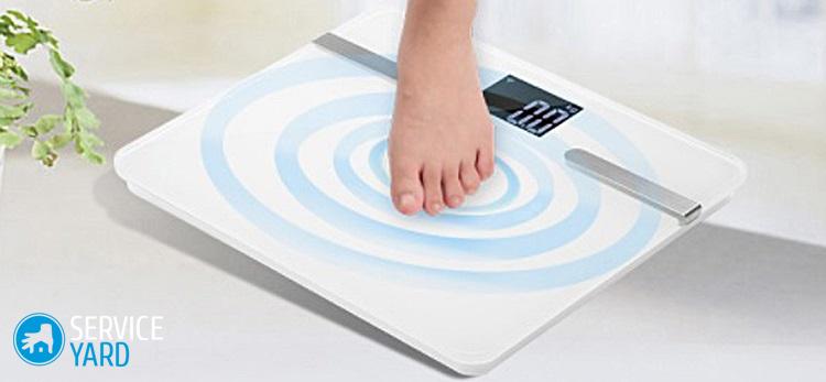 Image - DIY repair of vitek scales