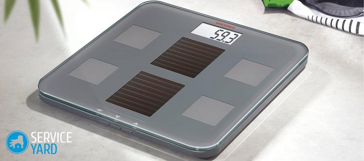 Image - DIY repair of vitek scales