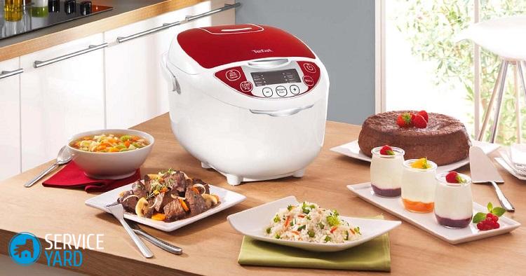 Image - Redmond multicooker DIY repair