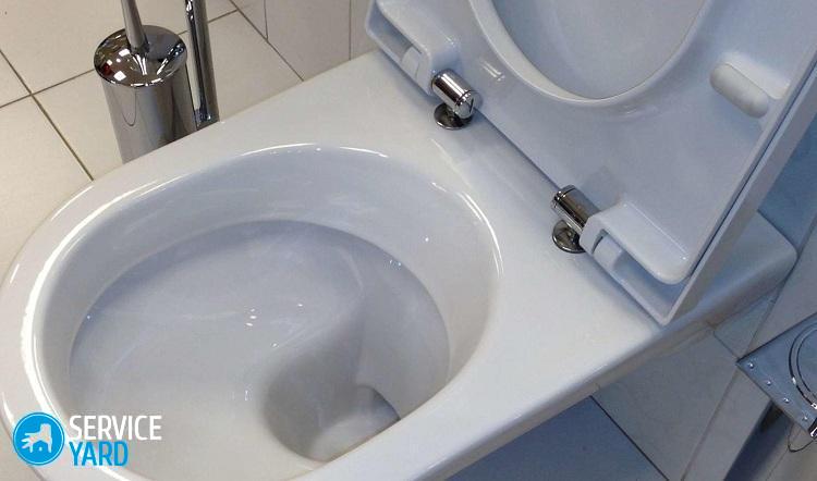 Image - Toilet lid with microlift DIY repair