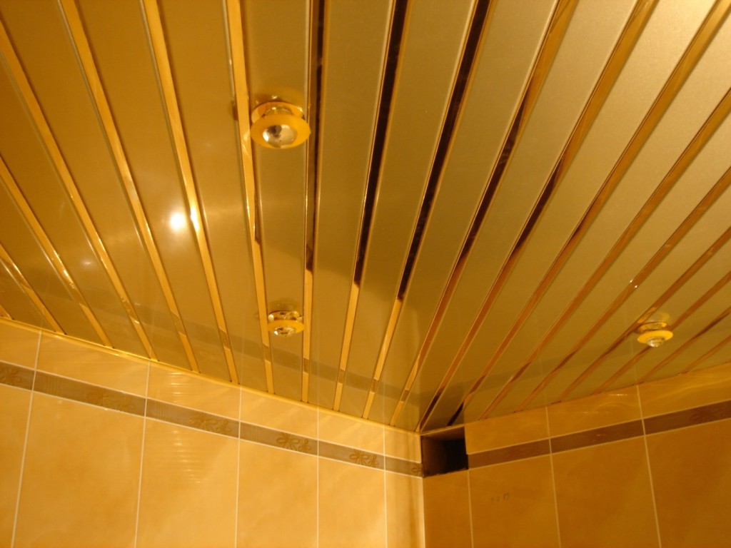 Image - DIY toilet repair in a new building