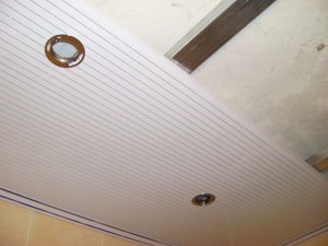 Image - DIY bathroom renovation with plastic panels in Khrushchev
