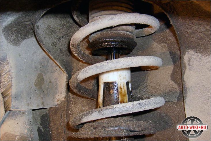 Image - DIY repair of the front shock absorber strut