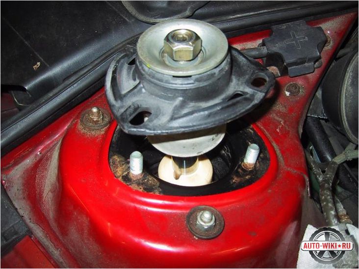 Image - DIY repair of the front shock absorber strut