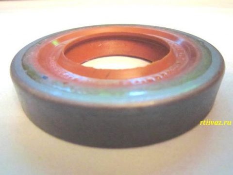 Image - DIY repair of the rear axle gearbox VAZ 21053