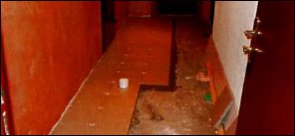 Image - How to make repairs at the entrance with your own hands