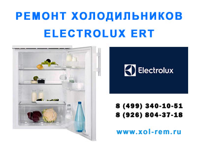 Obrázek - Udělej si sám opravu ledničky electrolux