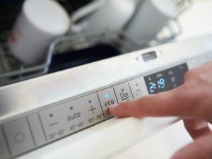 Image - DIY Siemens dishwasher repair