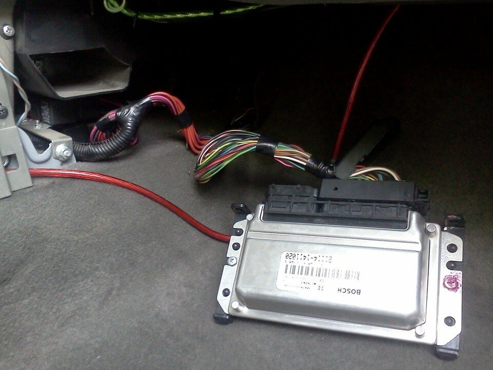 Image - DIY viburnum ebu repair