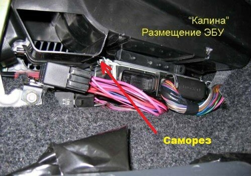 Image - DIY viburnum ebu repair