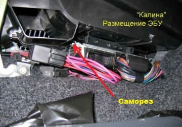 Image - DIY viburnum ebu repair