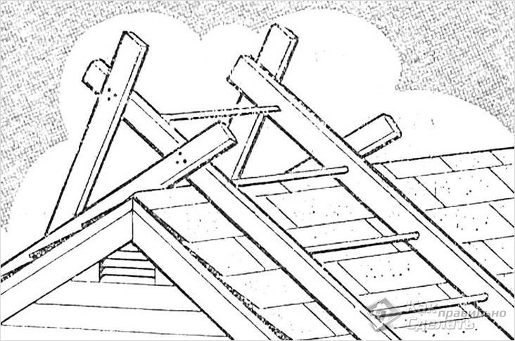 Image - DIY roof ladder
