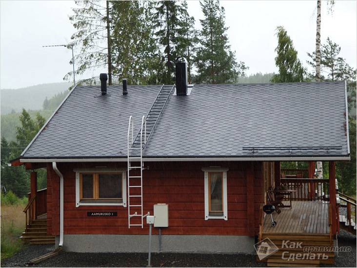 Image - DIY roof ladder