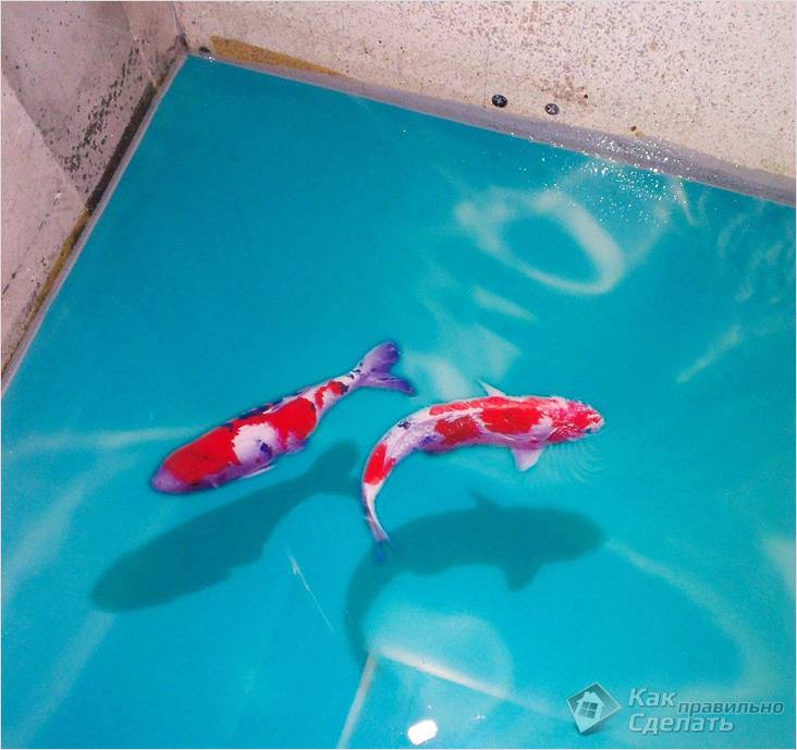Image - DIY epoxy floor repair