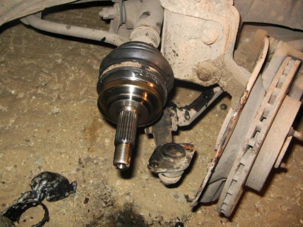 Image - DIY viburnum repair