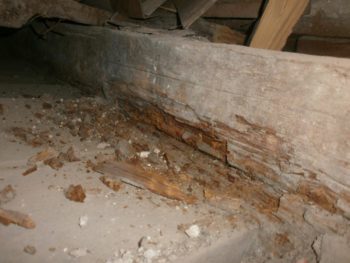 Image - DIY wooden house floor repair