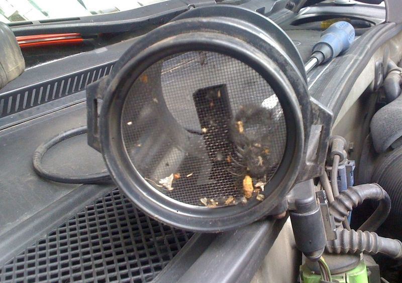 Image - Repair of dmrv do-it-yourself prior