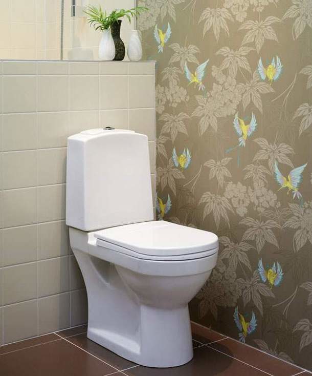 Image - DIY toilet repair