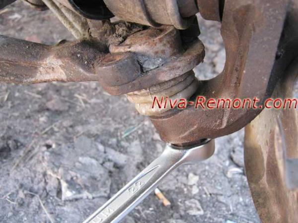 Image - Do-it-yourself repair of ball bearings Niva