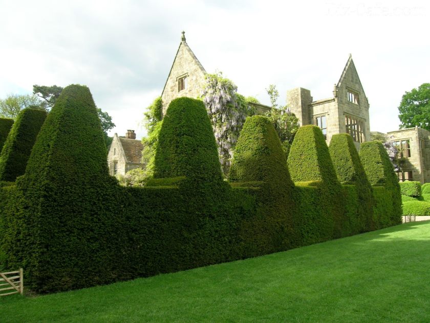 Image - Ideas for repairing a country house with your own hands