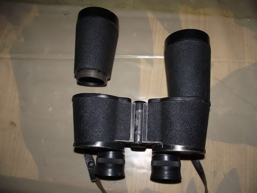Image - Do-it-yourself eagle repair binoculars