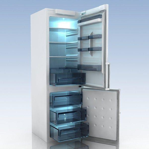 Image - Do-it-yourself electrolux refrigerator repair