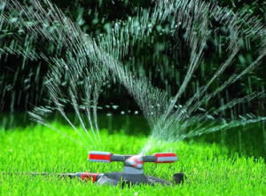 Image - DIY lawn repair