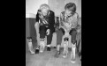 Image - DIY repair of fur boots