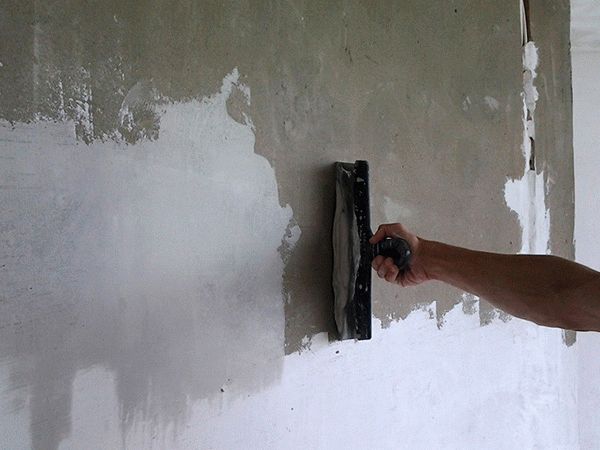 Image - DIY repair bark beetle