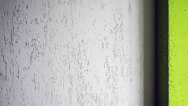 Image - DIY repair bark beetle