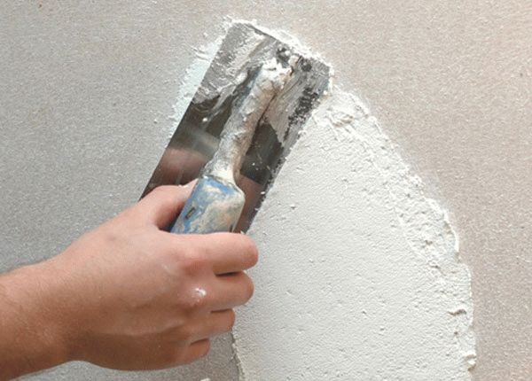 Image - DIY repair bark beetle