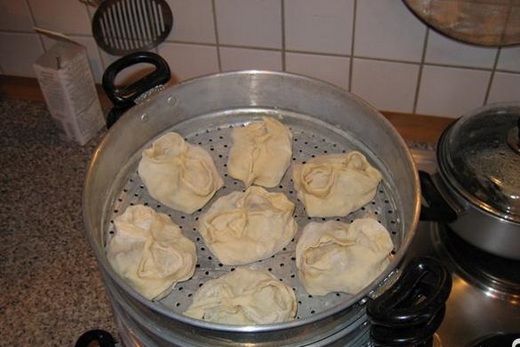 Image - DIY steamer repair